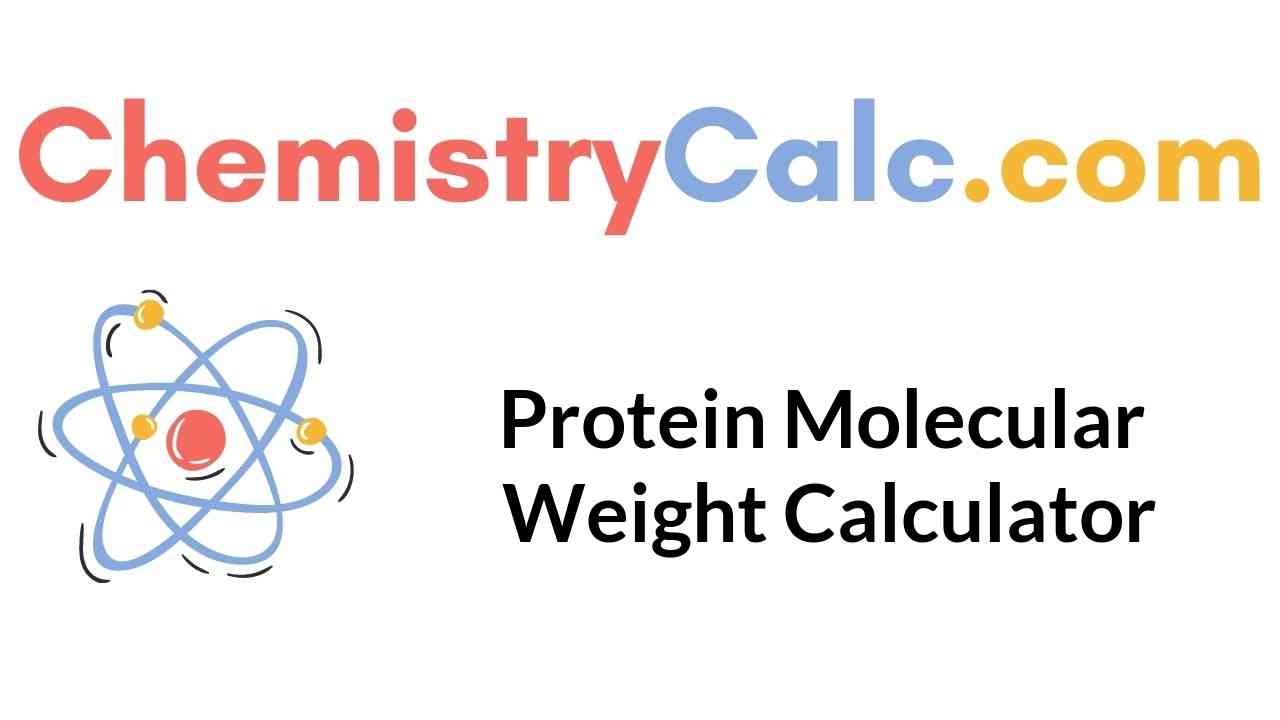 protein-molecular-weight-calculator
